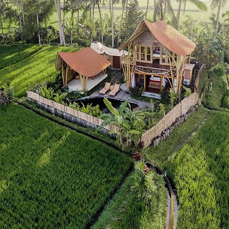 Arapan Ubud Eco Villa 외부 사진