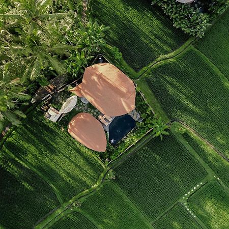 Arapan Ubud Eco Villa 외부 사진