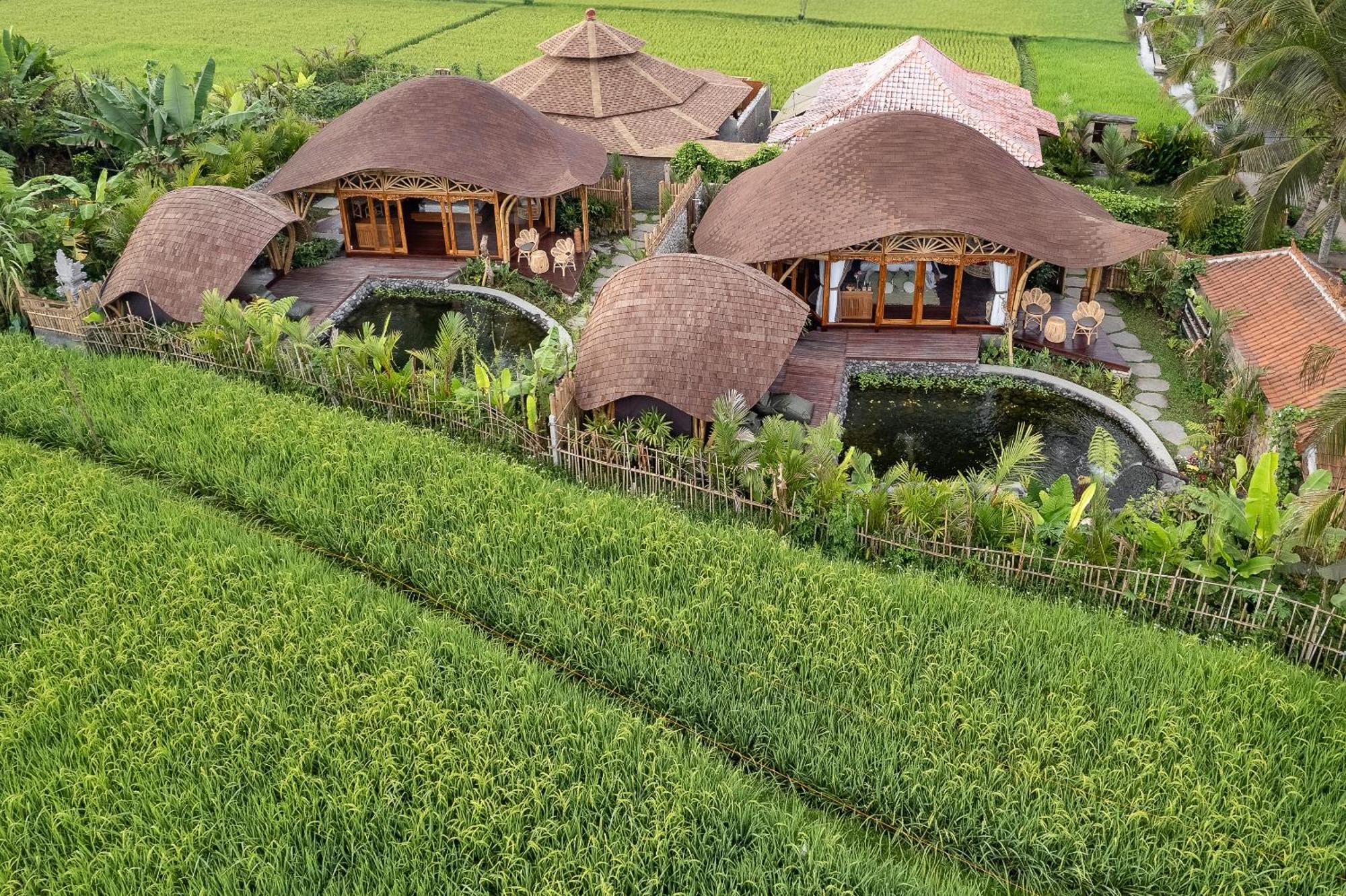 Arapan Ubud Eco Villa 외부 사진