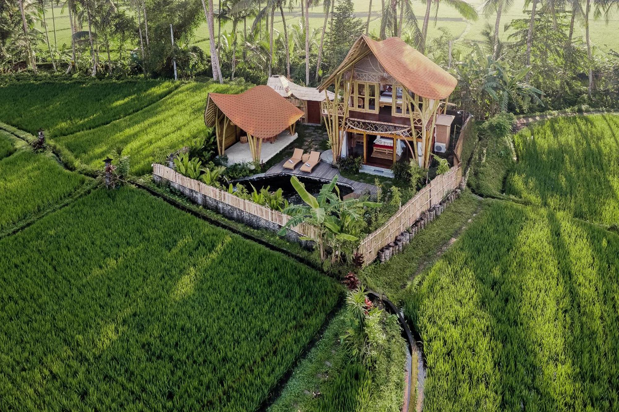 Arapan Ubud Eco Villa 외부 사진