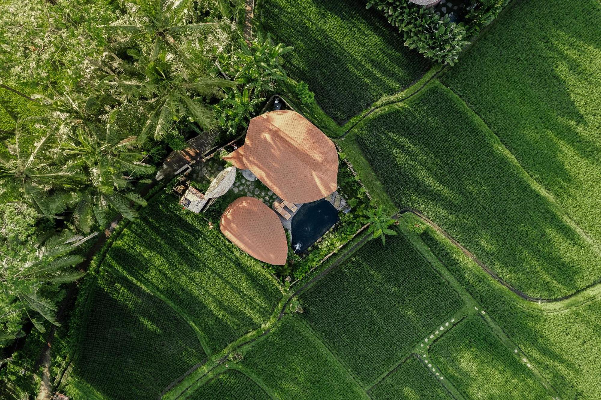 Arapan Ubud Eco Villa 외부 사진
