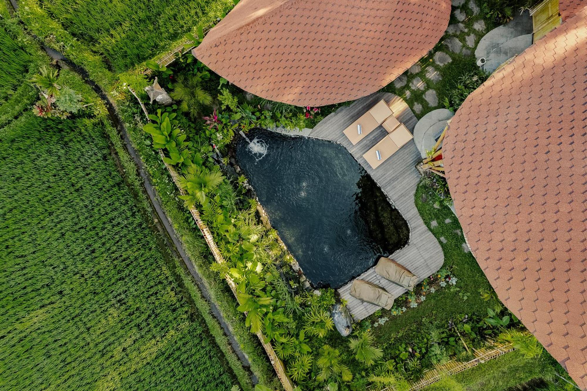 Arapan Ubud Eco Villa 외부 사진